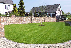 lawn2.jpg